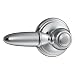 Moen Kingsley Collection Tank Lever