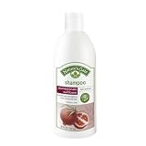 ネイチャーズゲート シャンプー (ザクロ) カラーリングヘア用 532ml