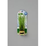 プランテリア ケヤリ草セット S