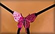 Unique y2Clothes Sexy Erotique Fluttering Butterfly Crotchless G-String - One Size Fits Most Plain Package