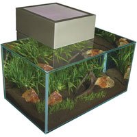 Fluval Edge Glass Aquarium Kit – Pewter – 6 Gallon