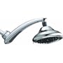 Waterpik RPB-173 Drenching Rain Fall Showerhead