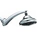 Waterpik RPB-173 Drenching Rain Fall Showerhead