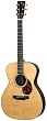 Breedlove Revival Series OM-R Acoustic Guitar, Made in U.S.A.