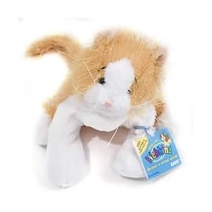 Webkinz orange cat