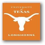 NCAA Texas Longhorns Seat Cushion/Tote