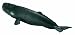 Schleich Sperm Whale