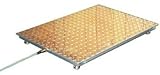 SCALE RAMP for Bariatric Scale