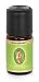 image 24 - Immortelle Oil