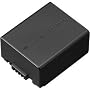 Panasonic DMW-BLB13 Battery for Panasonic G1 Digital SLR Cameras