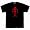 Pirate Edward Lowe Men's T-Shirt, Small