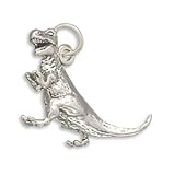 Sterling Silver Tyrannosaurus Rex Charm with 18