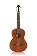 Cordoba C5 Acoustic Nylon String Classical Guitar with Gig Bag