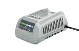 Greenworks 29342 24-Volt Charger for 2 Amp Hour and 4 Amp Hour Batteries