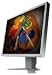 Eizo S1911SH-GY 19-Zoll D-sub, DVI-D LCD TFT Monitor, grau (Kontrast 700:1, Reaktionszeit 2 ms)