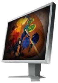 Eizo S1911SH-GY 19-Zoll D-sub, DVI-D LCD TFT Monitor, grau (Kontrast 700:1, Reaktionszeit 2 ms)
