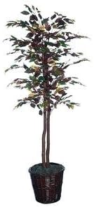 Vickerman Christmas Trees TEC0560 Nisswa Berry Economy Mystic Ficus Tree in Basket, 6-Feet, Green Dark