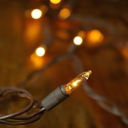 String Lights On 12 Foot Brown Wire, 35 Clear Bulbs, Plug-In, White