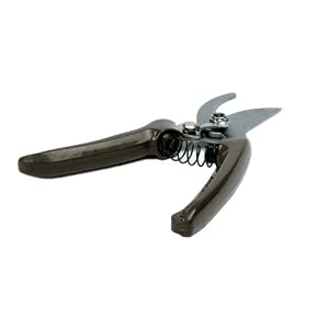 Keep It Simple With Katie Brown Lightweight Pruners, Brown