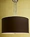 Williams-Sonoma Home Concourse Pendant, Chocolate