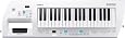 Roland AX-09 Lucina Shoulder Keyboard Synthesizer - Pearl White