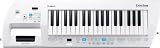 Synthesizers & Workstations