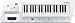 Roland AX-09 37-Key Synthesizer
