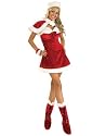New Adult Sexy Santa Claus's Miss Inspiration Costume