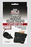 Bonide Products Mouse Glue Trap 4 Pack Pack Of 12 - 11103