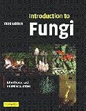 Introduction to Fungi
