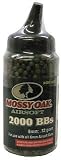 Plastic BBs, 2000 ct -Mossy Oak