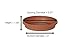 Bloem Terratray 1.7 in. H x 5.3 in. Dia. Resin Traditional Terracotta Clay Tray