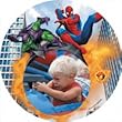 Custom Photo Plate - Spiderman Photo Plate - Customize Your Spiderman Plate With Your Favorite Photo