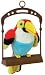 Talking Toucan