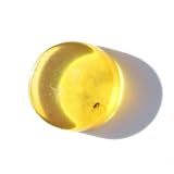 Natural Honey Amber Round Stone with Insect Inclusion
