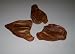 Pig Ears for Dogs ~ 100 Count Case