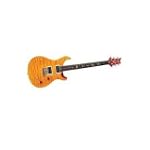 PRS SE Custom 24 25th Anniversary With Birds