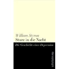 Sturz in die Nacht: Die Geschichte einer Depression