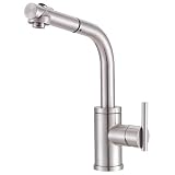 Danze D404558SS Parma Single-Handle Kitchen Faucet with Pull Out Spout, Stainless Steel