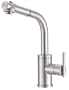 Danze D404558SS Parma Single-Handle Kitchen Faucet with Pull Out Spout, Stainless Steel