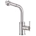 Danze D404558SS Parma Single-Handle Kitchen Faucet with Pull Out Spout, Stainless Steel