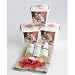 Cain & Able Year of the Dog Spa Set