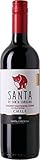 サンタ バイサンタカロリーナ カベルネ・ソーヴィニヨン/シラー 750ml×12本(ケース売り)