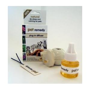 Aid The Feline De Anxiety Using a Feliway Diffuser
