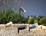 Adjustable Low Voltage Landscape Accent Light