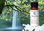 Sinuswars19: Vertigo Remedy (100% Natural with No Side Effects)