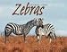 Zebras (Animal Prey) by Sandra Markle