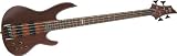 ESP LTD