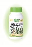 31cy XNmqhL. SL160  Astragalus Root ( Astragalus membranaceus ) 100 Capsules Natures Way