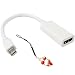 Okeba Mini DisplayPort/ThunderBolt Male to HDMI Female Cable